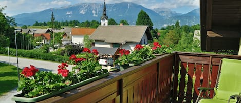 View from the Front Balcony