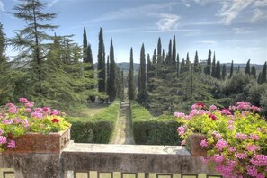 Vistas desde el alojamiento