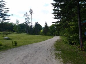 A view down the recently refreshed driveway with the front yard on the left.