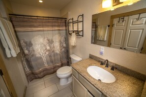 Master bath with walk-in shower.