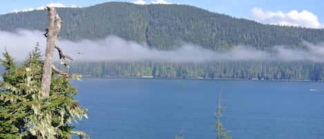 View from our Balcony.  Looking across San Juan Bay to famous West Coast Trail.