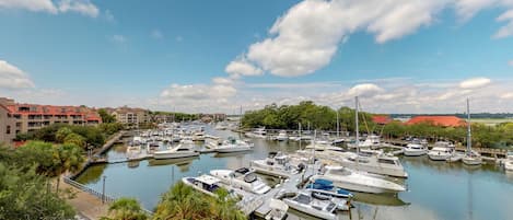 Panoramic View of Shelter Cove Harbour and  Marina