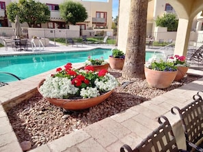 always some nice flowers, fruit trees and nicely landscaped grounds year round