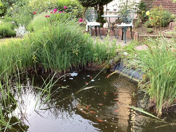 Jardines del alojamiento