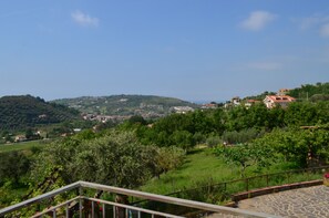 Ausblick vom Zimmer