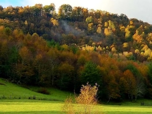 Beautiful Fall Foliage at peak! Absolutely Gorgeous Views!