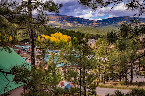 Captivating view from A3 Lifts Condo looking out over the Rockies!