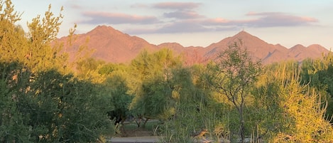 Morning View from front Porch-patio! Gated Community for your comfort! 