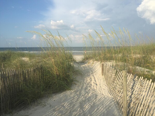 Strand