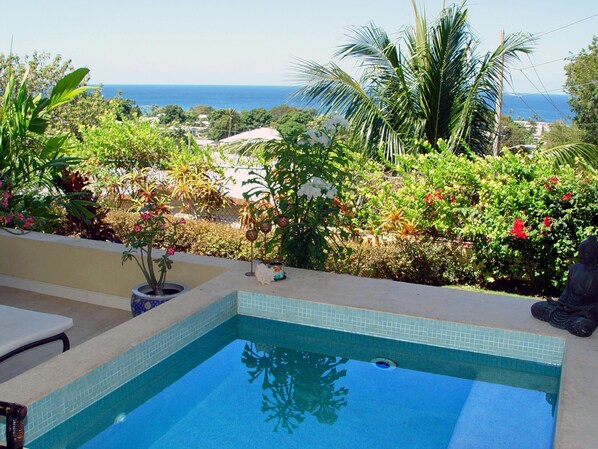 Plunge pool with Ocean view