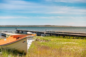 Trädgård