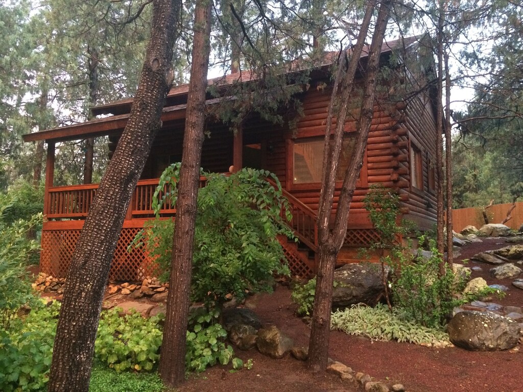 Cozy stream-front cabin nestled in the pines