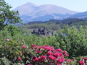 Vista desde la habitación
