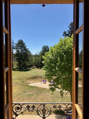 Vista desde la habitación