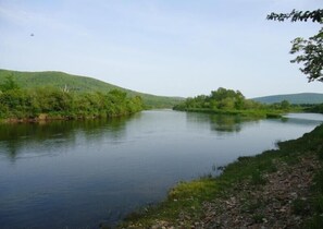 Margaree River across the road