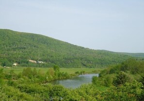 Margaree River across the road