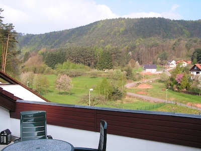Ferienwohnung Waldblick Schwanheim mit großer Terrasse und traumhaften Ausblick