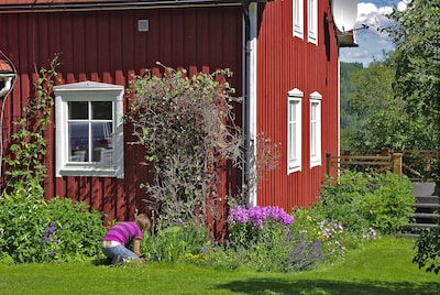 Blumenrabatten gehören einfach dazu