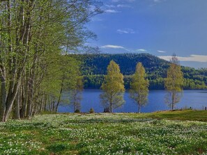 Boendeområde
