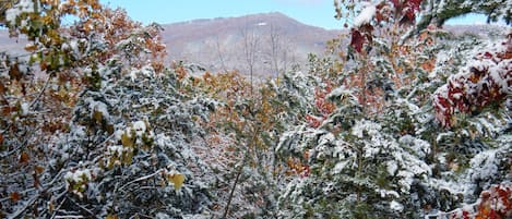  Snow on fall foliage and view of Bluff Mtn. from the hot tub on our back porch 