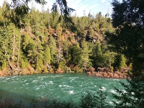 A view from our cabin patio!  River is high.....