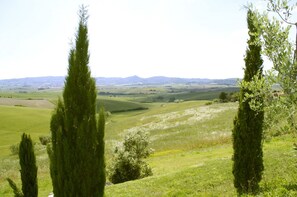 Land view from property