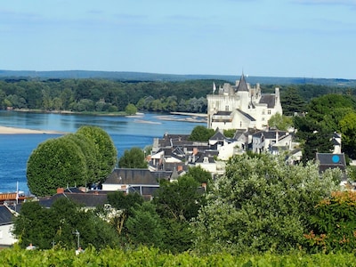 Le Logis des Abbesses - Eine Hängegarten auf der Loire.