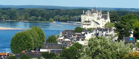 Le Logis des Abbesses (point bleu) au coeur du village de Montsoreau