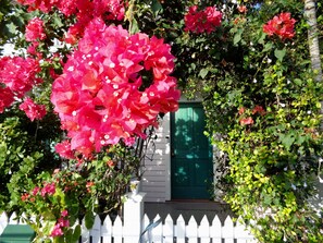 Entrance to Ashe Splash Key West