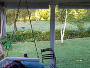Watch the deer from the porch