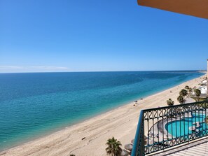 View from the patio