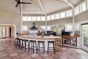 1100 sq. feet chef's kitchen, radiant heating, sunshine from all sides