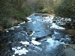 The cabin overlooks this rushing mtn. trout stream