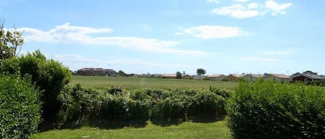 Blick vom Garten