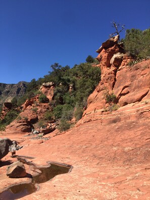 So beautiful out your door to “Frog Hollow” have a picnic, yoga, or simply relax