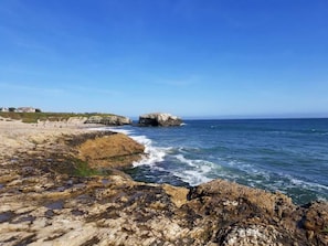 Natural Bridges Beach tide pools