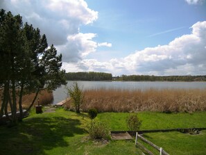 Ausblick