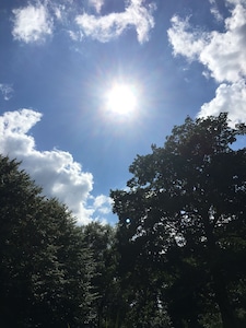 Urlaub in Mecklenburg Vorpommern im Park in Lenschow 