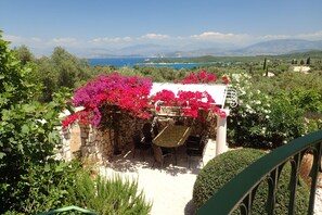 Bougainvillea and Views!