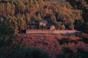 VIEW FROM THE VALLEY