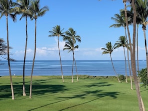 Golfe