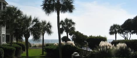 Welcome! The view from the Screened In Porch! The courtyard and the beach!