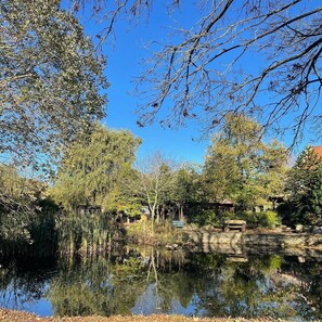 Jardín