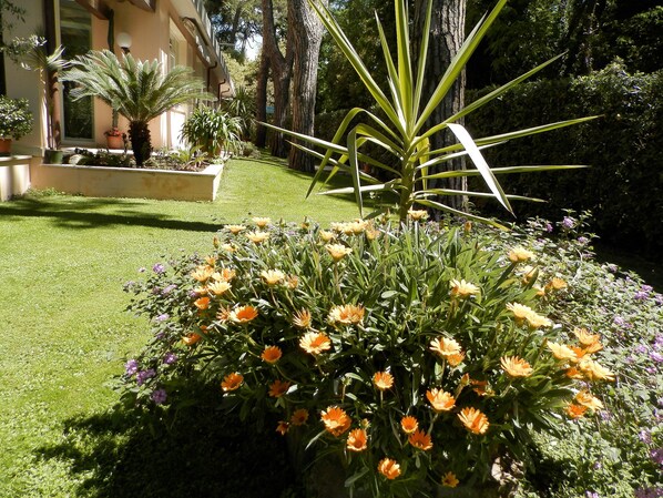 Giardino