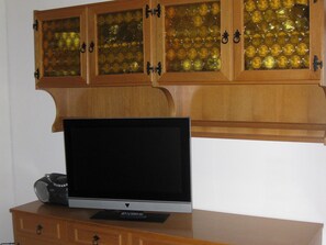 Television