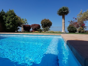 Heatable pool with well-kept garden invites to swim