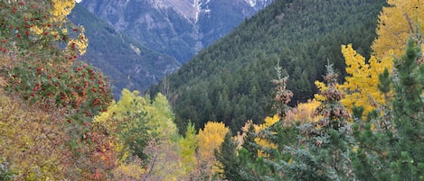 Looking up Emigrant Creek at a 10,000 foot peak- view from kitchen window