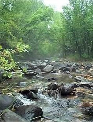 One Mile of Private Emigrant Creek next to cabin