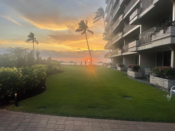 Our yard looking from 119 to the beach and sunsets and pool area