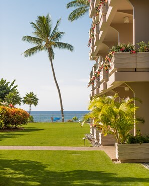 Sitting on our yard looking at the ocean. Easy access to beach and to barbecue.  